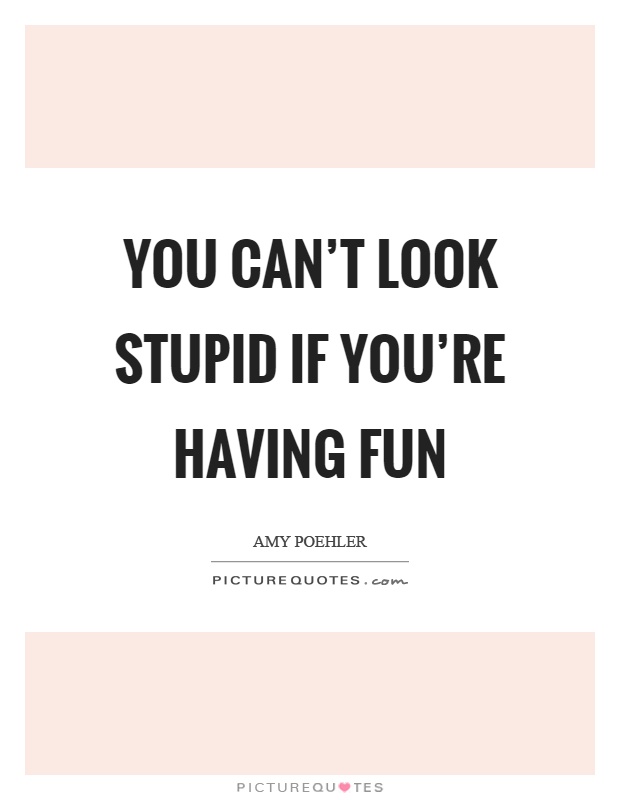 You can't look stupid if you're having fun Picture Quote #1