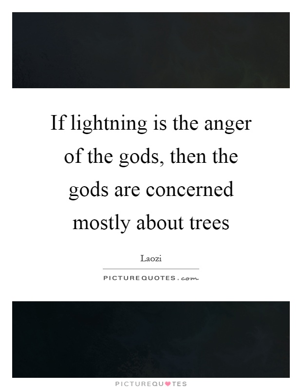If lightning is the anger of the gods, then the gods are concerned mostly about trees Picture Quote #1