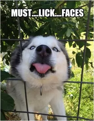 Must... lick... faces Picture Quote #1