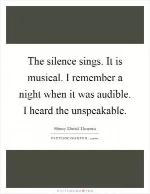 The silence sings. It is musical. I remember a night when it was audible. I heard the unspeakable Picture Quote #1