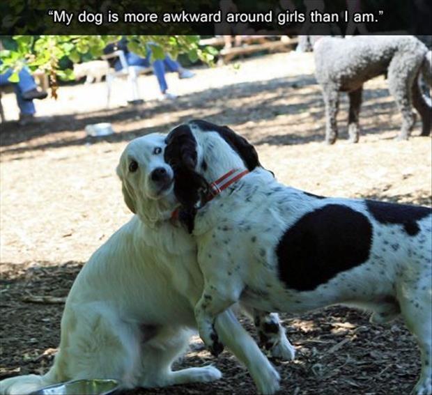 My dog is more awkward around girls than I am Picture Quote #1