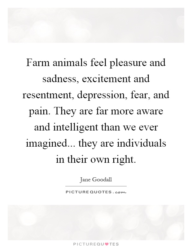 Farm animals feel pleasure and sadness, excitement and resentment, depression, fear, and pain. They are far more aware and intelligent than we ever imagined... they are individuals in their own right Picture Quote #1