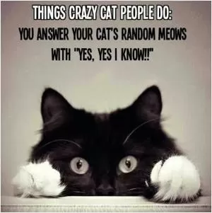Things crazy cat people do: You answer your cat’s random meows with “yes, yes I know!!” Picture Quote #1