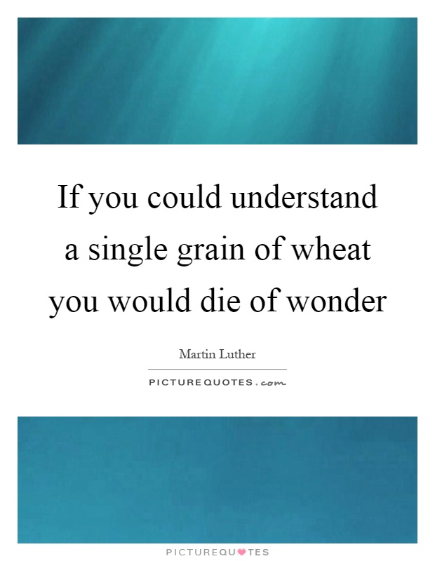 If you could understand a single grain of wheat you would die of wonder Picture Quote #1