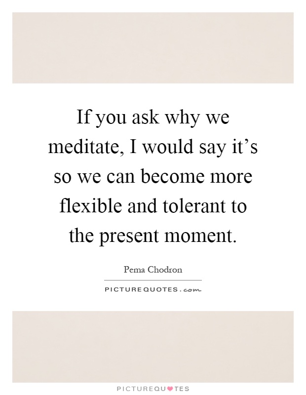 If you ask why we meditate, I would say it's so we can become more flexible and tolerant to the present moment Picture Quote #1