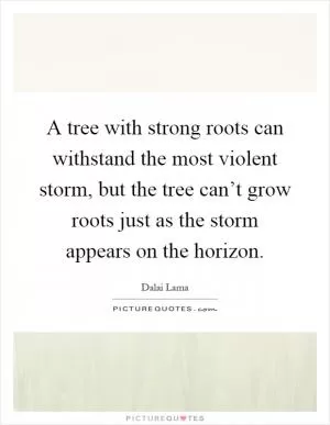A tree with strong roots can withstand the most violent storm, but the tree can’t grow roots just as the storm appears on the horizon Picture Quote #1