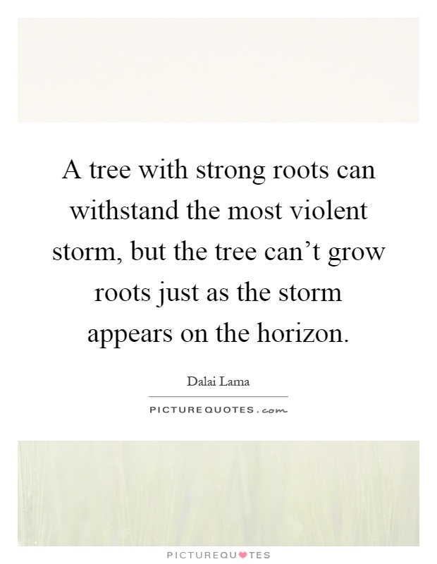 A tree with strong roots can withstand the most violent storm, but the tree can't grow roots just as the storm appears on the horizon Picture Quote #1