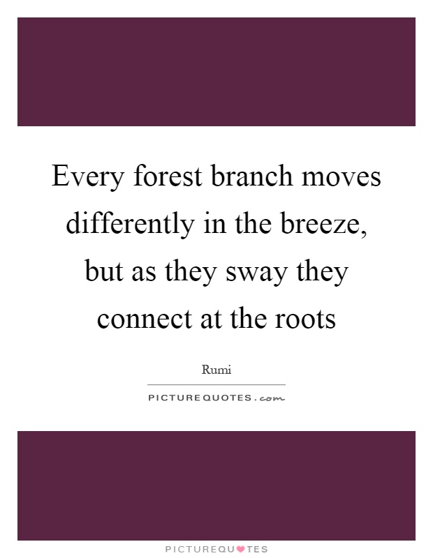 Every forest branch moves differently in the breeze, but as they sway they connect at the roots Picture Quote #1