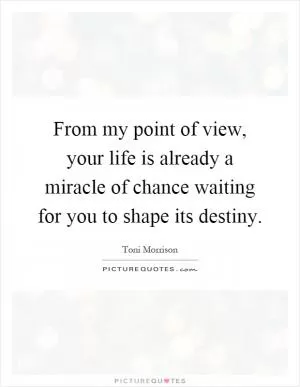 From my point of view, your life is already a miracle of chance waiting for you to shape its destiny Picture Quote #1