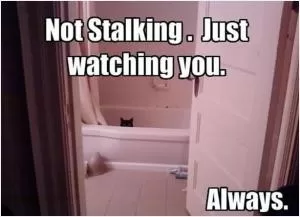 Not stalking. Just watching you. Always Picture Quote #1