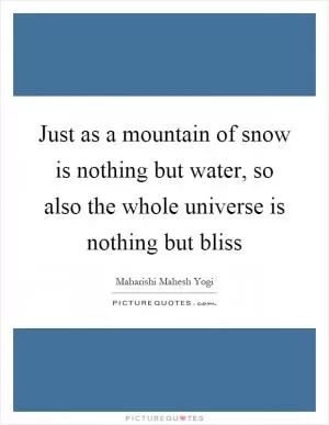 Just as a mountain of snow is nothing but water, so also the whole universe is nothing but bliss Picture Quote #1