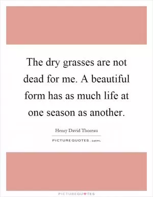 The dry grasses are not dead for me. A beautiful form has as much life at one season as another Picture Quote #1