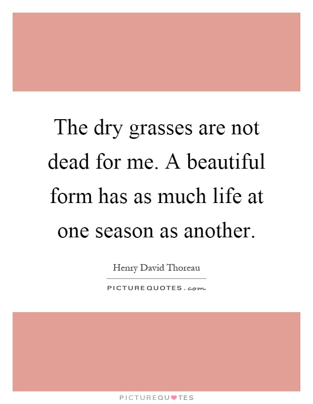 The dry grasses are not dead for me. A beautiful form has as much life at one season as another Picture Quote #1