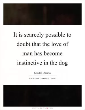 It is scarcely possible to doubt that the love of man has become instinctive in the dog Picture Quote #1