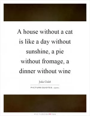 A house without a cat is like a day without sunshine, a pie without fromage, a dinner without wine Picture Quote #1