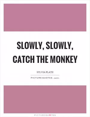 Slowly, slowly, catch the monkey Picture Quote #1