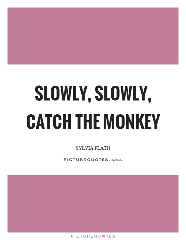 Slowly, slowly, catch the monkey Picture Quote #1