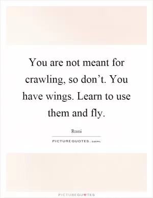 You are not meant for crawling, so don’t. You have wings. Learn to use them and fly Picture Quote #1
