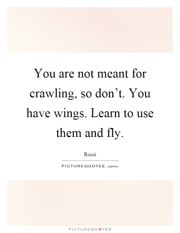 You are not meant for crawling, so don't. You have wings. Learn to use them and fly Picture Quote #1