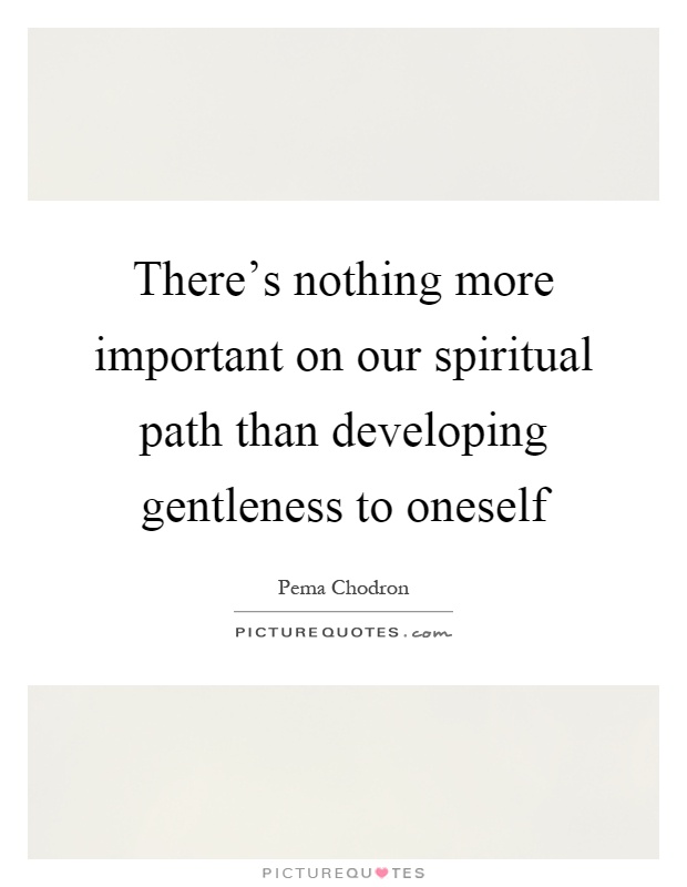 There's nothing more important on our spiritual path than developing gentleness to oneself Picture Quote #1