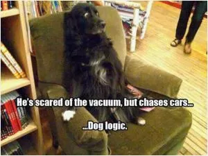 He’s scared of the vacuum, but chases cars. Dog logic Picture Quote #1