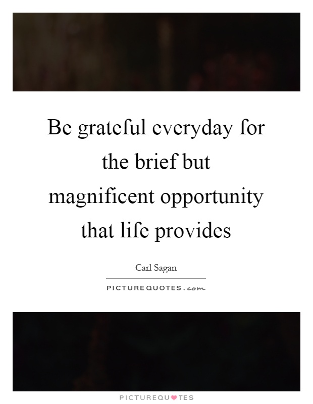 Be grateful everyday for the brief but magnificent opportunity that life provides Picture Quote #1