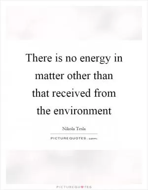 There is no energy in matter other than that received from the environment Picture Quote #1