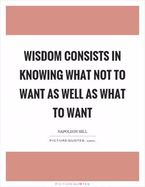 Wisdom consists in knowing what not to want as well as what to want Picture Quote #1