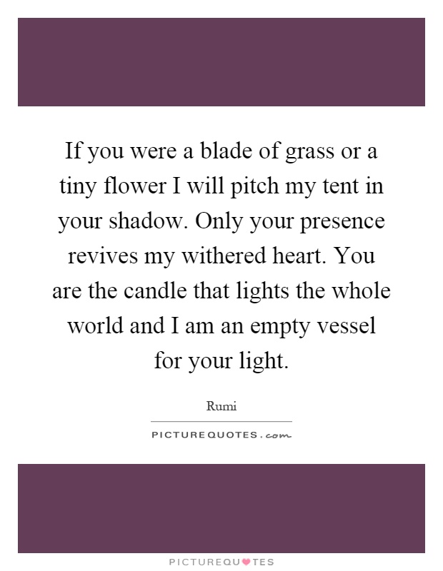 If you were a blade of grass or a tiny flower I will pitch my tent in your shadow. Only your presence revives my withered heart. You are the candle that lights the whole world and I am an empty vessel for your light Picture Quote #1