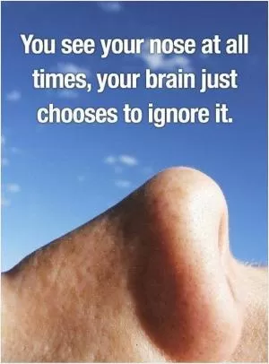 You see your nose at all time, your brain just chooses to ignore it Picture Quote #1