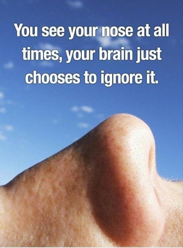 You see your nose at all time, your brain just chooses to ignore it Picture Quote #1