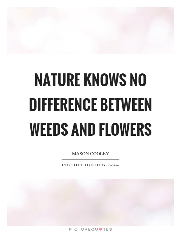 Nature knows no difference between weeds and flowers Picture Quote #1