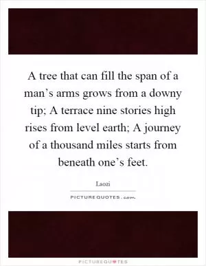 A tree that can fill the span of a man’s arms grows from a downy tip; A terrace nine stories high rises from level earth; A journey of a thousand miles starts from beneath one’s feet Picture Quote #1