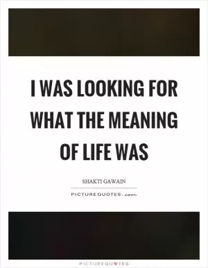 I was looking for what the meaning of life was Picture Quote #1