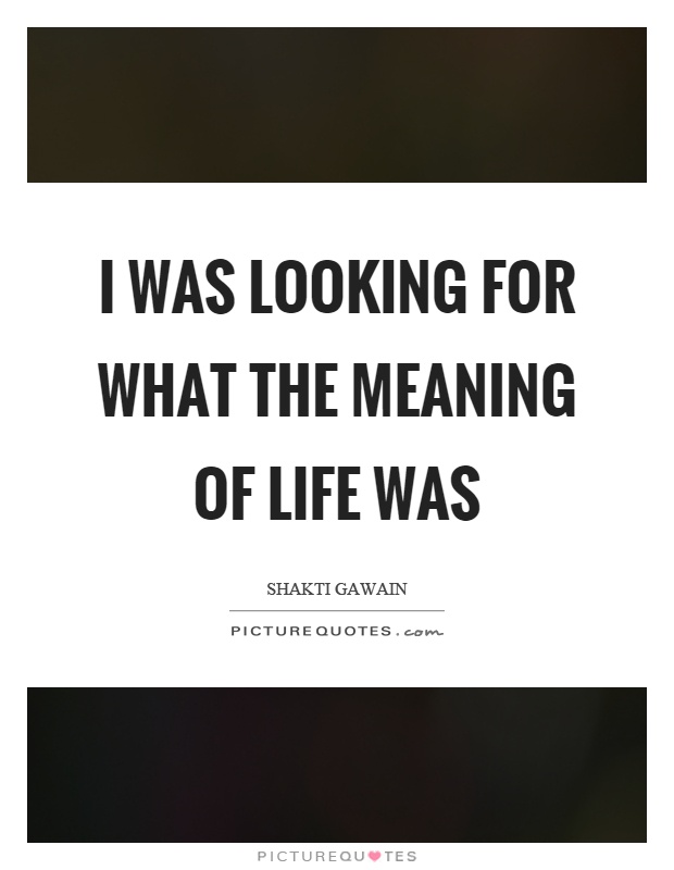 I was looking for what the meaning of life was Picture Quote #1