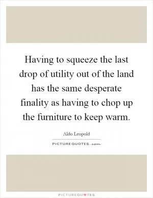 Having to squeeze the last drop of utility out of the land has the same desperate finality as having to chop up the furniture to keep warm Picture Quote #1