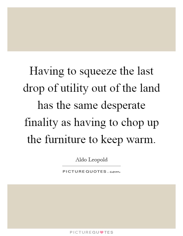 Having to squeeze the last drop of utility out of the land has the same desperate finality as having to chop up the furniture to keep warm Picture Quote #1