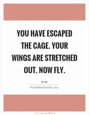 You have escaped the cage. Your wings are stretched out. Now fly Picture Quote #1
