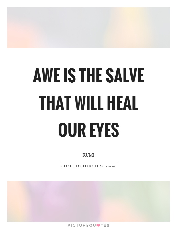Awe is the salve that will heal our eyes Picture Quote #1