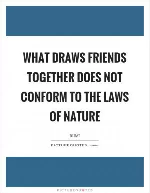 What draws friends together does not conform to the laws of nature Picture Quote #1