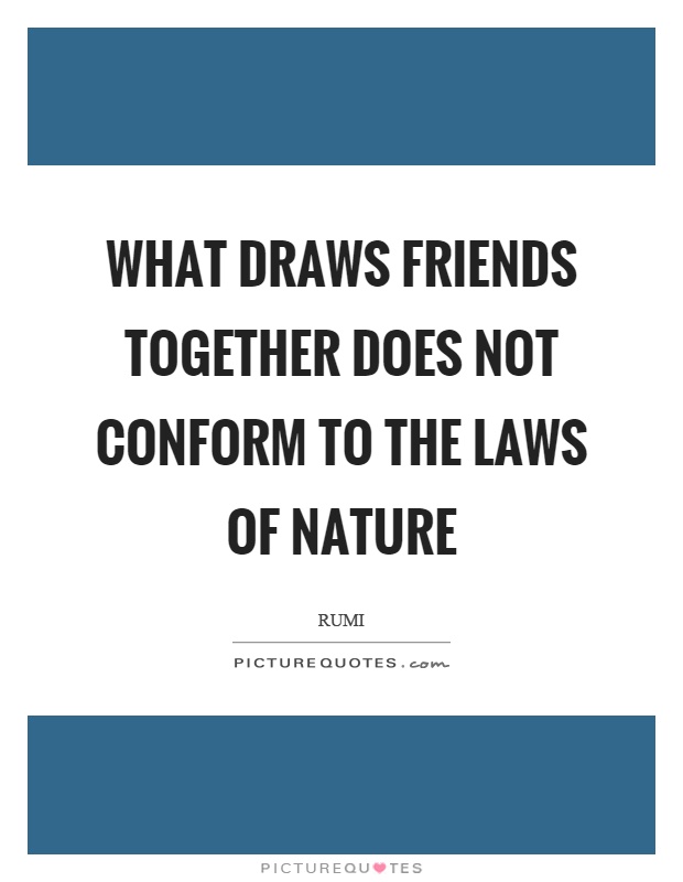 What draws friends together does not conform to the laws of nature Picture Quote #1