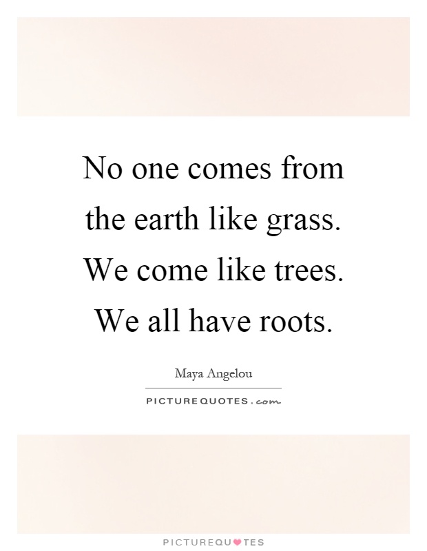 No one comes from the earth like grass. We come like trees. We all have roots Picture Quote #1