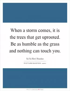 When a storm comes, it is the trees that get uprooted. Be as humble as the grass and nothing can touch you Picture Quote #1