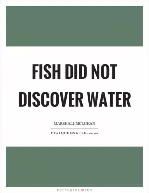 Fish did not discover water Picture Quote #1