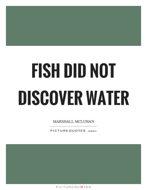 Fish did not discover water Picture Quote #1