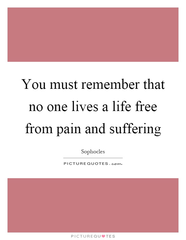 You must remember that no one lives a life free from pain and suffering Picture Quote #1