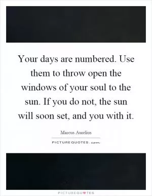 Your days are numbered. Use them to throw open the windows of your soul to the sun. If you do not, the sun will soon set, and you with it Picture Quote #1