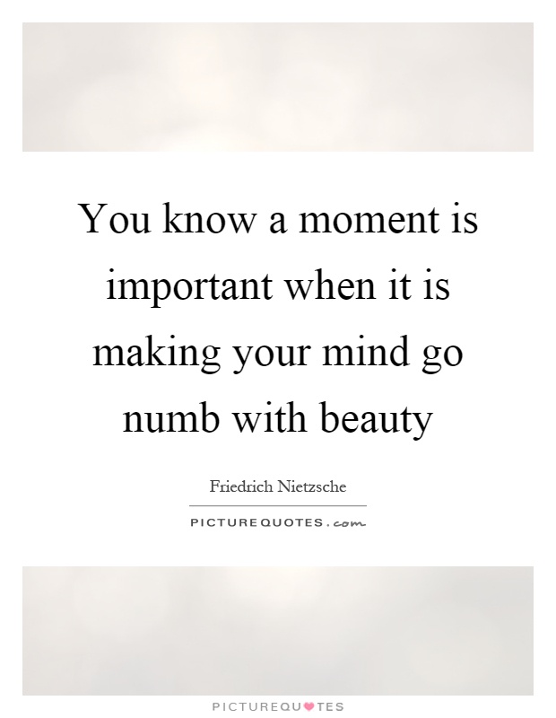 You know a moment is important when it is making your mind go numb with beauty Picture Quote #1