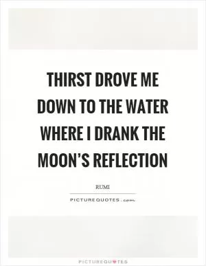 Thirst drove me down to the water where I drank the moon’s reflection Picture Quote #1