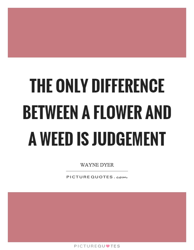 The only difference between a flower and a weed is judgement Picture Quote #1